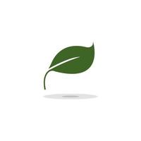 leaf icon vector illustration design template