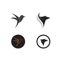 bird logo vector illustration design template.