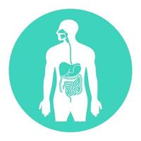 tracto alimentario humano o órganos del sistema digestivo icono de vector plano para aplicaciones y sitios web