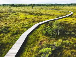 Aukstumala swamp - high swamp in Silute district, Pomeranian region. It is one of the largest wetlands not only in Western Lithuania, but also in the whole of Lithuania photo
