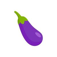 eggplant icon vector