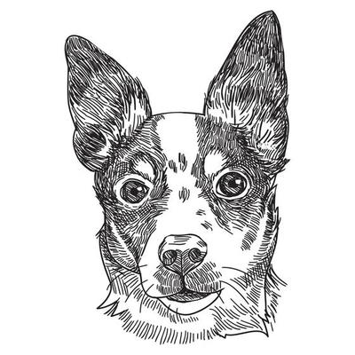 Dog sketch style, pen vintage illustration for your design