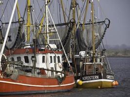 greetsiel at the german north sea photo