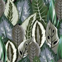 Seamless pattern with tropical beautiful leaves exotic background. vector