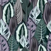 Seamless pattern with tropical beautiful leaves exotic background vector