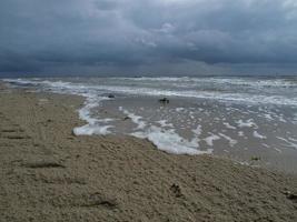 the german island Norderney photo