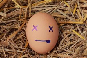 Emotion of fresh eggs  on a straw. photo