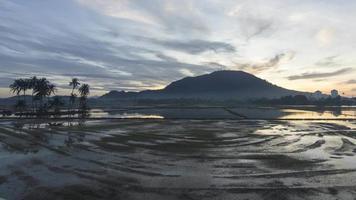 timelapse amanecer con tierra fangosa en patrón video