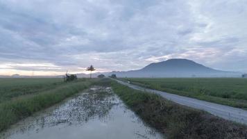 timelapse goldenes sonnenlicht am morgen video