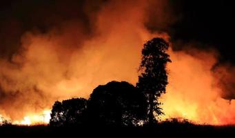 Bushfire burning orange and red smoke filled the sky at night. photo