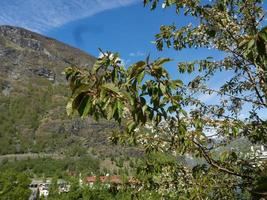 tiempo de primavera en flam en noruega foto