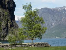 Flam in Norway photo