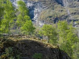 spring tiime at flam in norway photo