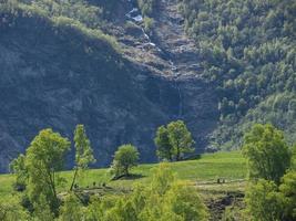 spring tiime at flam in norway photo