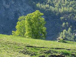 tiempo de primavera en flam en noruega foto