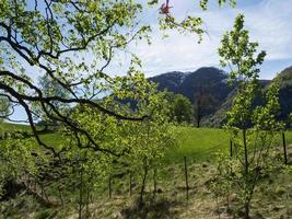 tiempo de primavera en flam en noruega foto