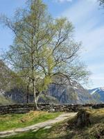 Flam in norway photo