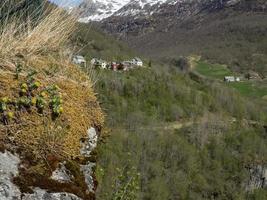 flam en noruega foto