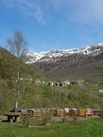 the village of flam in norway photo