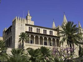 Palma de Mallorca in spain photo