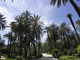 Palermo on sicilia island photo