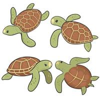 Set of cute sea turtles isolated on a white background. Vector graphics.
