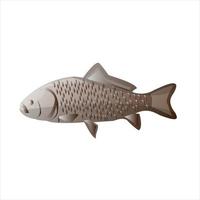 Putty fish with white background, the  best Cartoonist putty fish vector illustration