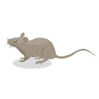 Ilustración de vector de rata sobre fondo blanco, animal salvaje.