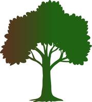 Smlooet trees with gradient. vector