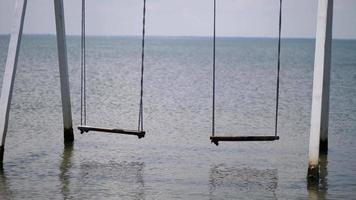 swing over water on ropes. vacation at the resort video