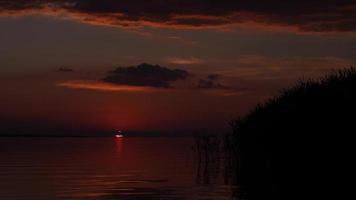 Sunset over the water. A tree in the foreground on the shore. slow motion 4K video