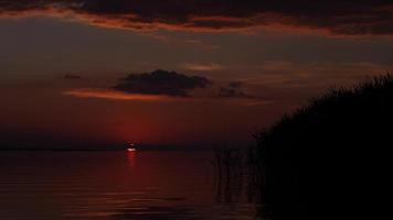 Sonnenuntergang über dem Wasser. ein Baum im Vordergrund am Ufer. Zeitlupe 4k video