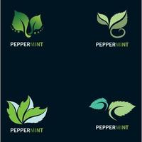 Peppermint leaf logo inspiration concept design on black background vector