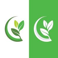 logotipos de la ecología de la hoja del árbol verde vector