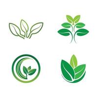 Logos of green tree leaf ecology vector