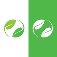Logos of green tree leaf ecology vector