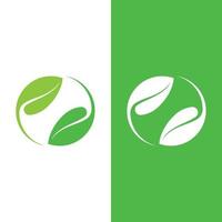 logotipos de la ecología de la hoja del árbol verde vector