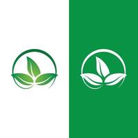 Logos of green tree leaf ecology vector