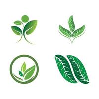 Logos of green tree leaf ecology vector