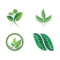 Logos of green tree leaf ecology vector