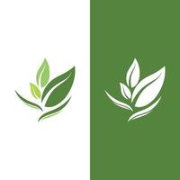 logotipos de la ecología de la hoja del árbol verde vector