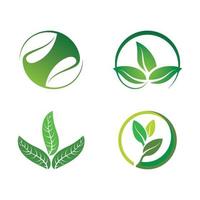 Logos of green tree leaf ecology vector