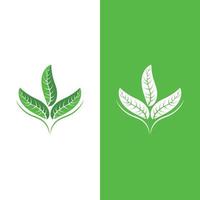 Logos of green tree leaf ecology vector