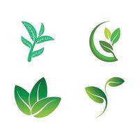 Logos of green tree leaf ecology vector