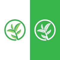 Logos of green tree leaf ecology vector