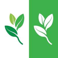 logotipos de la ecología de la hoja del árbol verde vector