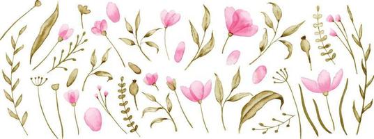 Watercolor wild pink Flowers and green leaves. Hand painted Floral vector set. Botanic collection on white isolated background