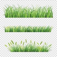 Various Grass Element vector