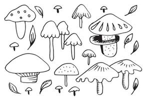 Vector doodle mushroom on white background. Illustration of healthy organic food