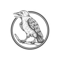 Hand drawn raven logo template vector
